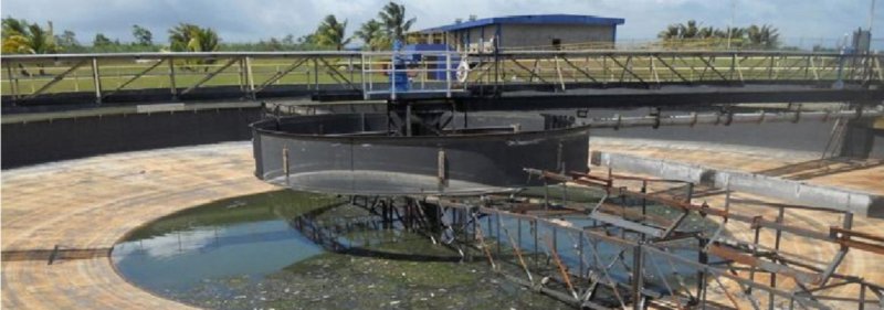 值得信賴的合作夥伴